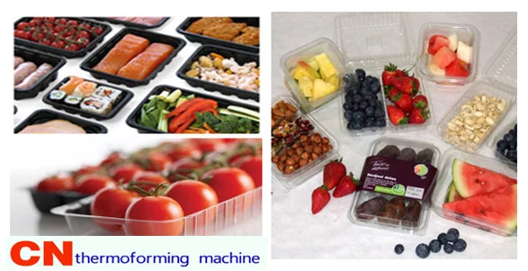 frozen food packaging trays